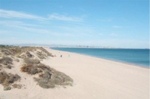 playa parador